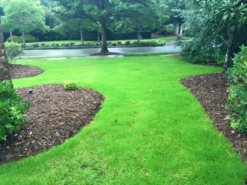 Myrtle Beach landscaping and Lawn Maintenance by GRAND DUNES LANDSCAPE AND MAINTENANCE